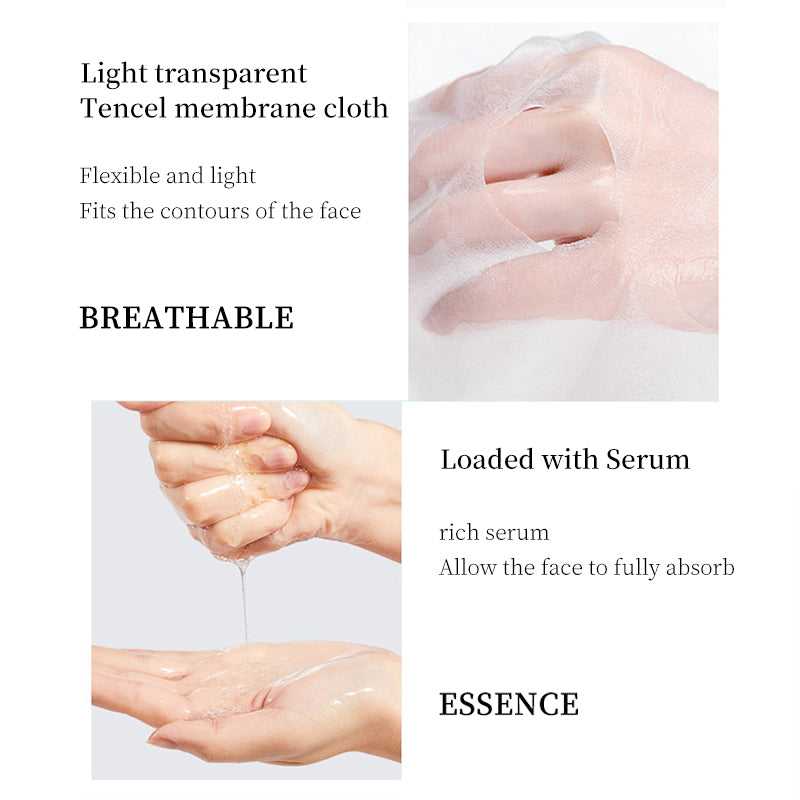 Velorian Collection Aloe Niacinamide moisturizing facial mask pack with 10 sheets, hydrating skincare for healthy skin.